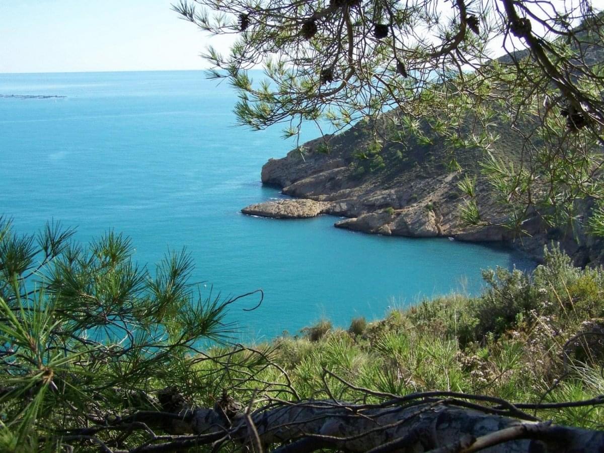 Альбир Испания на карте